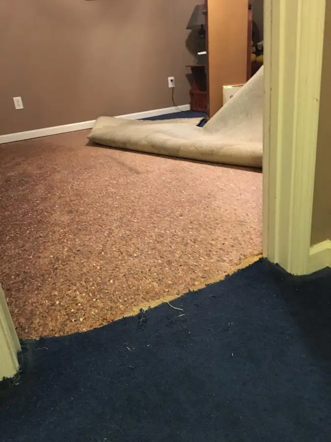 Carpet pad removal revealing water damage during Drying & Dehumidification in Sausalito